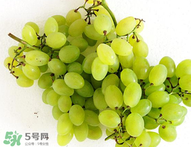 青提什么時(shí)候成熟？青提什么時(shí)候上市？
