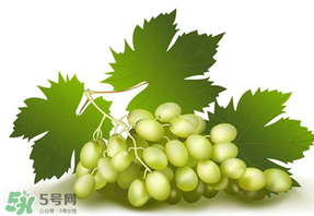 青提不能和什么一起吃？青提哪些人不能吃？