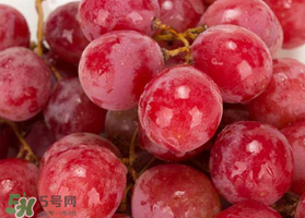 提子什么季節(jié)成熟？提子什么時候上市？