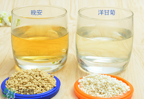 美林菊花晶一天喝幾次？美林菊花晶一天喝多少？