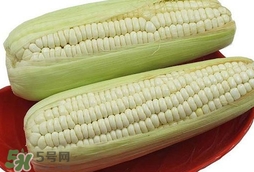 糯玉米怎么保存時間長？新鮮的糯玉米如何保存