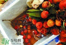 荔枝為什么要用藥水泡？荔枝藥水浸泡是否安全？