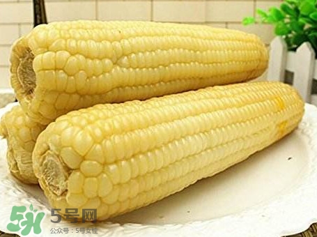 糯玉米怎么保存時間長？新鮮的糯玉米如何保存