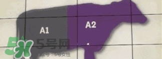 A2奶粉斷貨用什么奶代替最合適？與A2奶粉相近的奶是什么