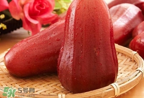 蓮霧什么季節(jié)吃最好？什么品種的蓮霧最好吃