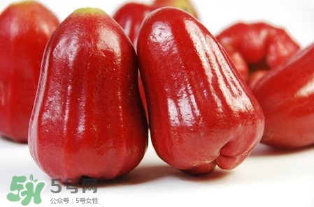 黑珍珠蓮霧多少錢一斤2017？黑珍珠蓮霧產(chǎn)地是哪里