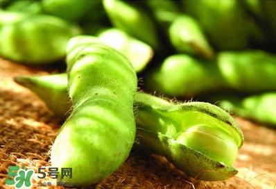 六月份可以種毛豆嗎？六月份毛豆怎么種植？