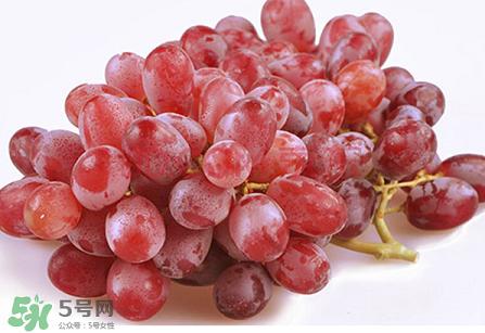 提子為什么會澀？提子澀怎么辦是沒熟嗎？