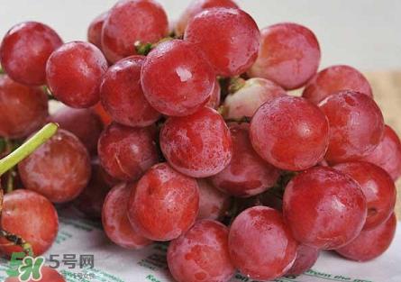 提子為什么會澀？提子澀怎么辦是沒熟嗎？
