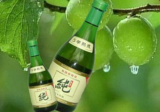 青梅酒泡多久可以喝？青梅酒好喝嗎？