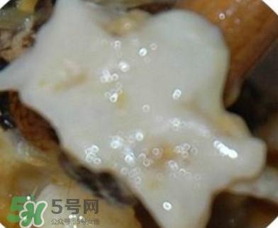面包蟹是哪里產(chǎn)的？面包蟹哪里不能吃圖解