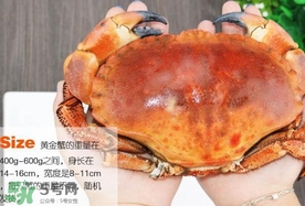速凍面包蟹如何處理？活面包蟹怎么處理清洗