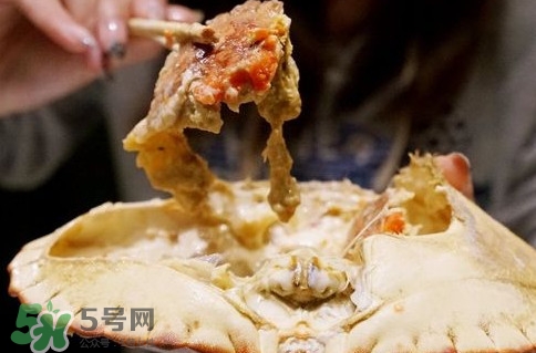面包蟹什么季節(jié)吃最好？面包蟹什么時候最有黃