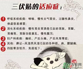 三伏貼能治什么??？三伏貼能治哪些?。?></p><h3 style=
