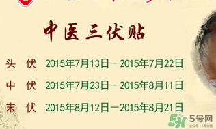 三伏貼能治什么??？三伏貼能治哪些??？