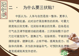 三伏貼能治什么?。咳N能治哪些?。?></p><p style=