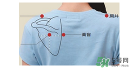 三伏貼貼在什么位置？三伏貼貼哪里？