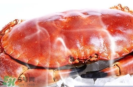 速凍面包蟹如何處理？活面包蟹怎么處理清洗