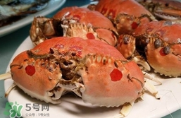 面包蟹什么季節(jié)吃最好？面包蟹什么時候最有黃