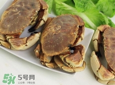 活面包蟹怎么保存？面包蟹能保存多久
