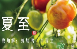 夏至是什么意思？夏至的習(xí)俗有哪些