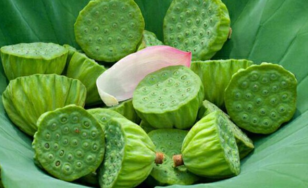新鮮蓮子什么時候有？新鮮蓮子幾月有？