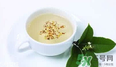 葛根茶多少錢一盒？2017葛根茶價(jià)格
