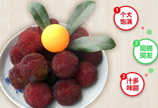 楊梅泡酒能放多久？楊梅酒保質(zhì)期