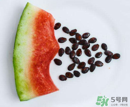 西瓜籽怎么種植？西瓜籽能種出西瓜嗎？