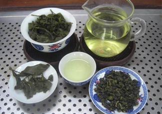 杜仲茶哪些人不適宜喝？杜仲茶飲用注意事項(xiàng)
