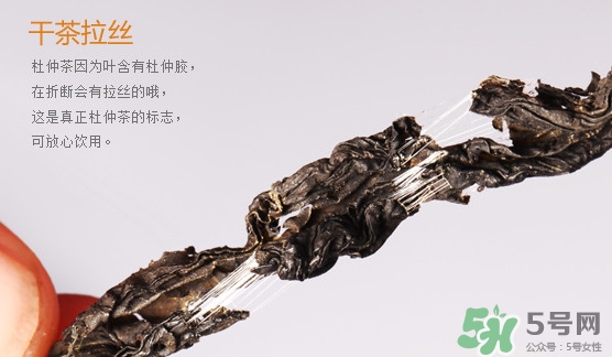 杜仲茶每天喝多少合適？杜仲茶喝多有什么不好