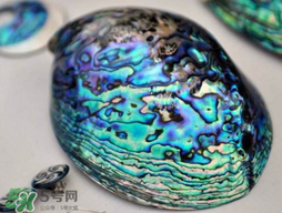 nike air foamposite one abalone鮑魚噴多少錢？