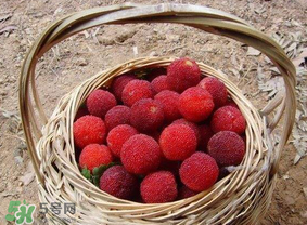 煮楊梅汁需要煮多長(zhǎng)時(shí)間？楊梅汁怎么煮？
