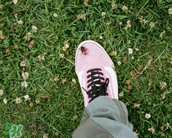 stussy與vans2017春夏系列聯(lián)名鞋子什么時(shí)候發(fā)售？