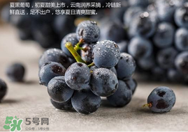 無(wú)籽葡萄孕婦能不能吃？無(wú)籽葡萄和葡萄的區(qū)別