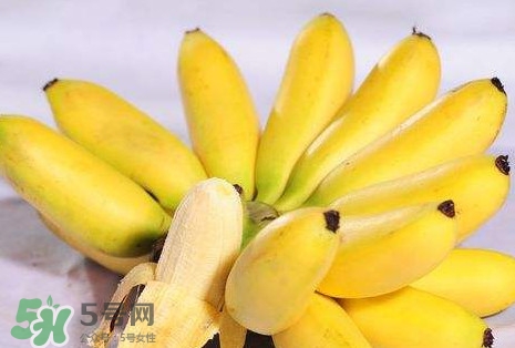 芭蕉可以治便秘嗎？芭蕉的功效與作用