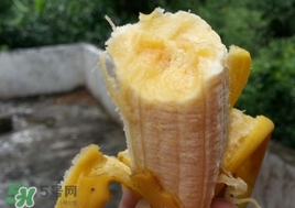 芭蕉熱量高嗎？芭蕉可以減肥嗎