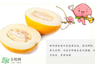 黃金瓜熱量高嗎？黃金瓜會胖嗎？