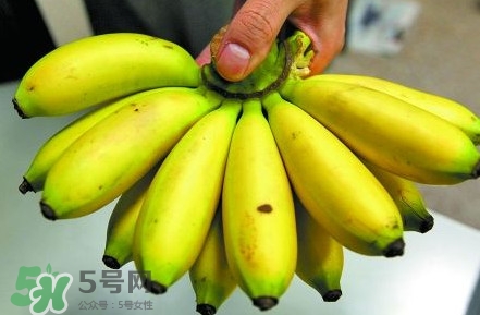 芭蕉不熟可以吃嗎？芭蕉怎么催熟