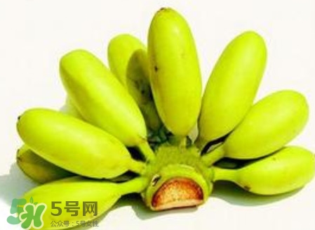 芭蕉是香蕉嗎？芭蕉和香蕉的區(qū)別