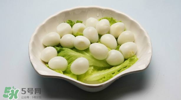 鵪鶉蛋和雞蛋哪個營養(yǎng)價值高？鵪鶉蛋怎么選購？