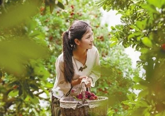 仙居楊梅在哪里？仙居楊梅哪里最好？