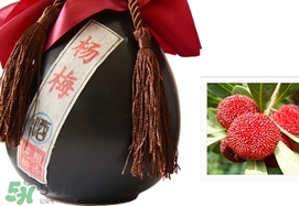 楊梅酒和青梅酒哪個(gè)好喝？楊梅酒和青梅酒區(qū)別