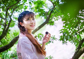 仙居楊梅在哪里？仙居楊梅哪里最好？