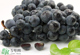 無籽葡萄有哪些品種？無籽葡萄多少錢一斤？