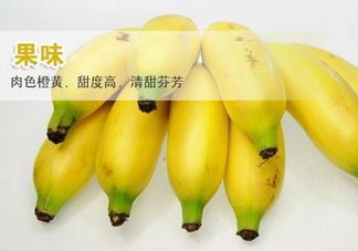 皇帝蕉多少錢一斤？2017皇帝蕉價格