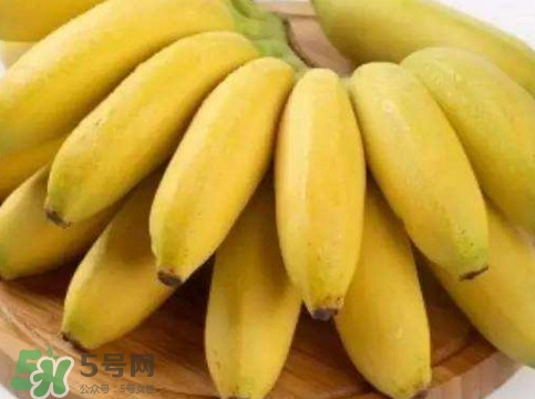 帝王蕉多少錢(qián)一斤？帝王蕉是轉(zhuǎn)基因香蕉嗎