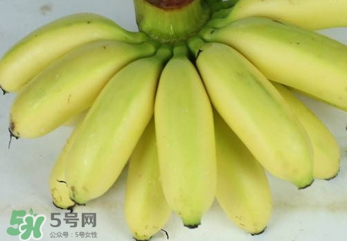 帝王蕉和皇帝蕉有區(qū)別嗎？帝王蕉和普通香蕉區(qū)別