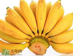 皇帝蕉是芭蕉嗎？皇帝蕉和芭蕉的區(qū)別
