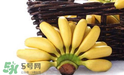 帝王蕉是芭蕉嗎？帝王蕉和芭蕉的區(qū)別